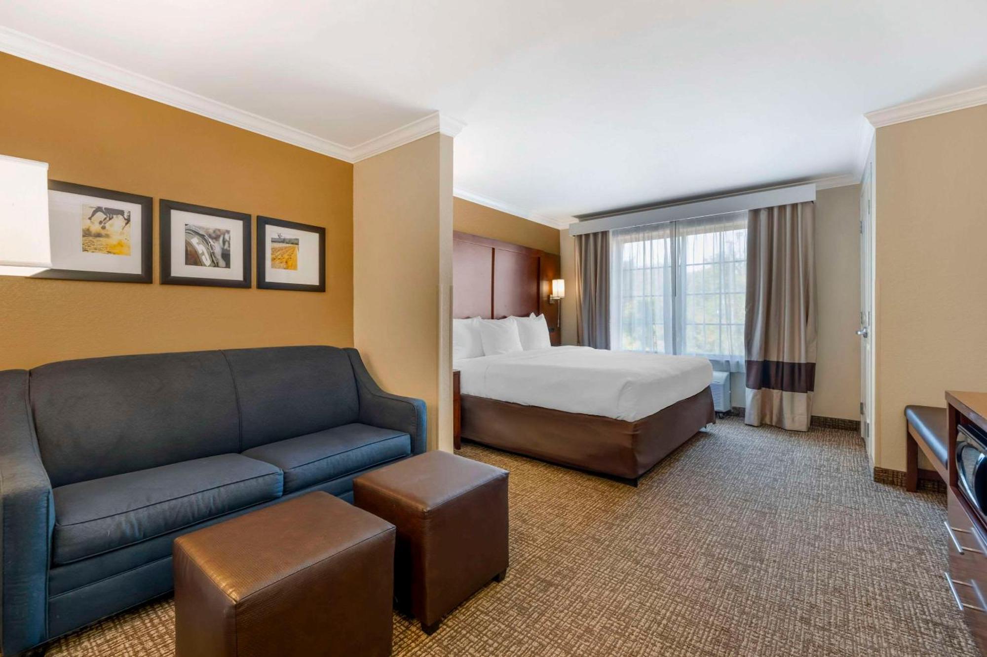 אליזבתטאון Comfort Suites מראה חיצוני תמונה
